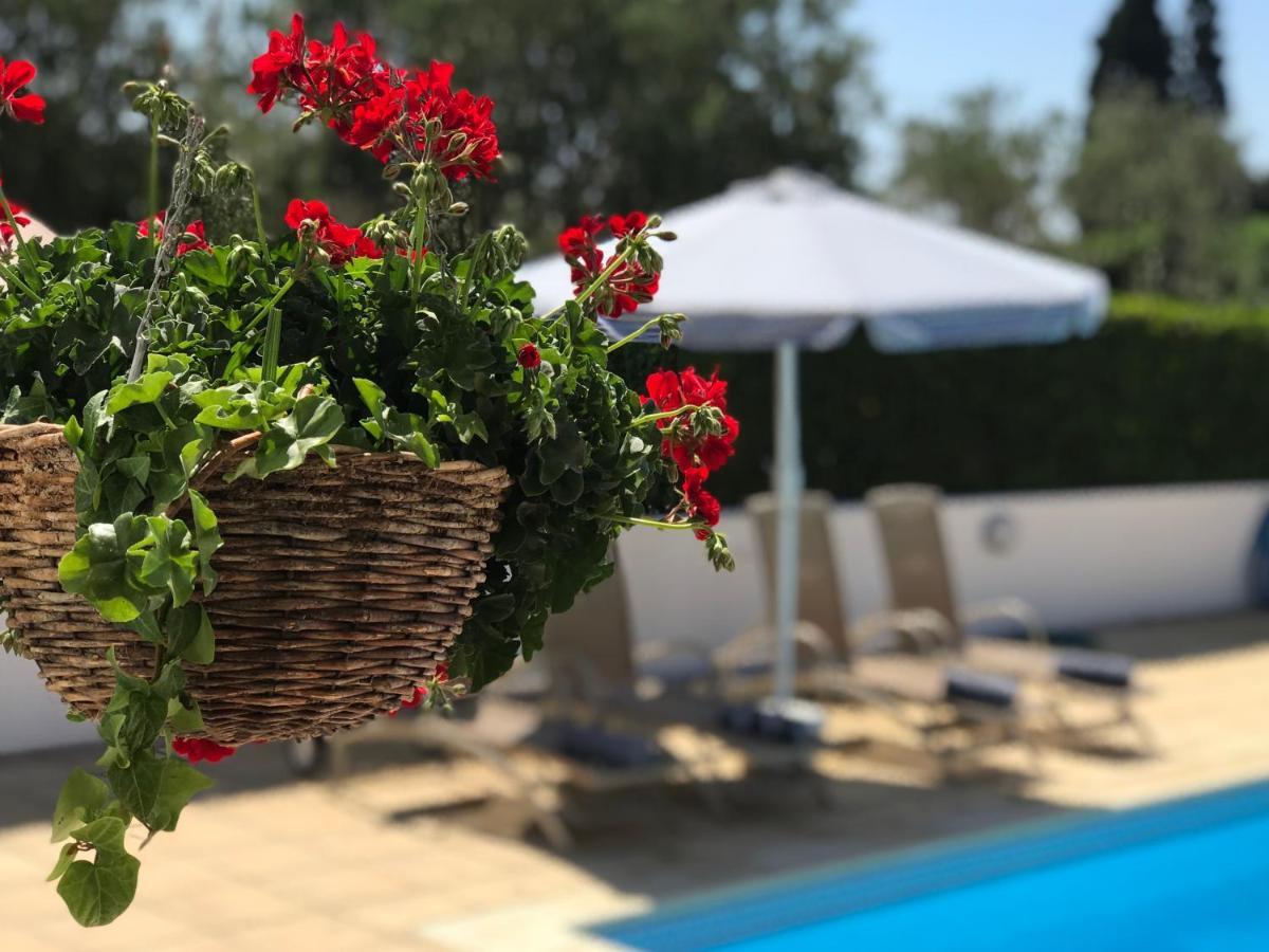 Villa Elia Bed And Breakfast Kíti Kültér fotó